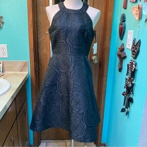 NWT size 6 Black Rose Calvin Klein Dress